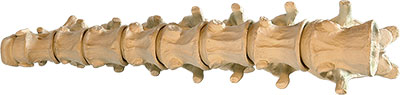 click to enlarge