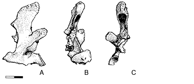 click to enlarge