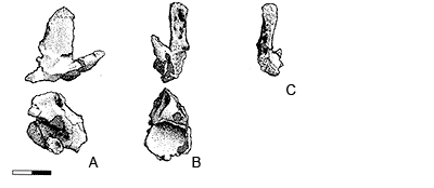 click to enlarge
