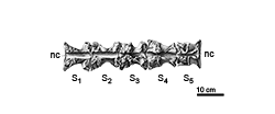 click to enlarge
