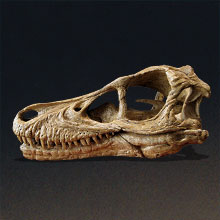 click for details...