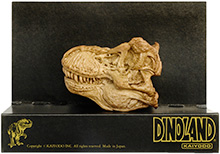 click for details…