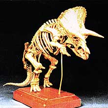 click for details...