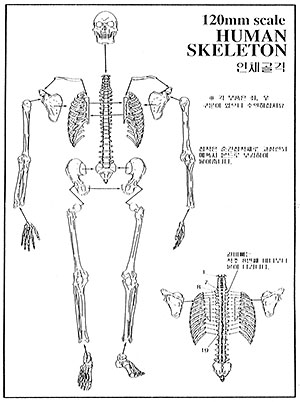 click to enlarge