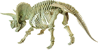 click to enlarge